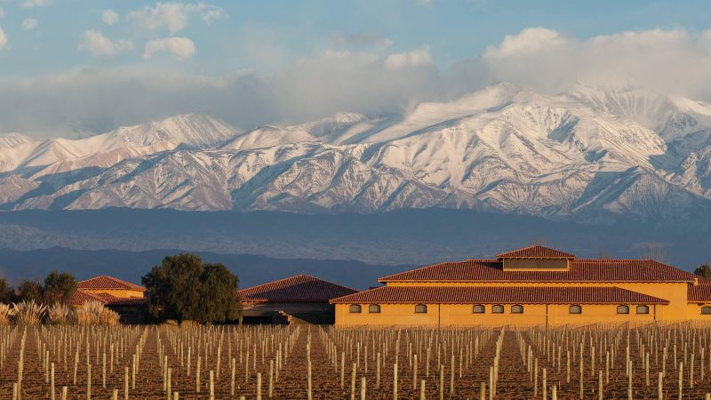 Mendoza, Argentina: o que conhecer na província do malbec – 28/07/2025 – Turismo