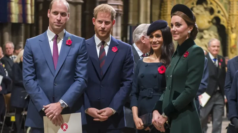 William acredita que Meghan viu em Harry um “trampolim” para a fama