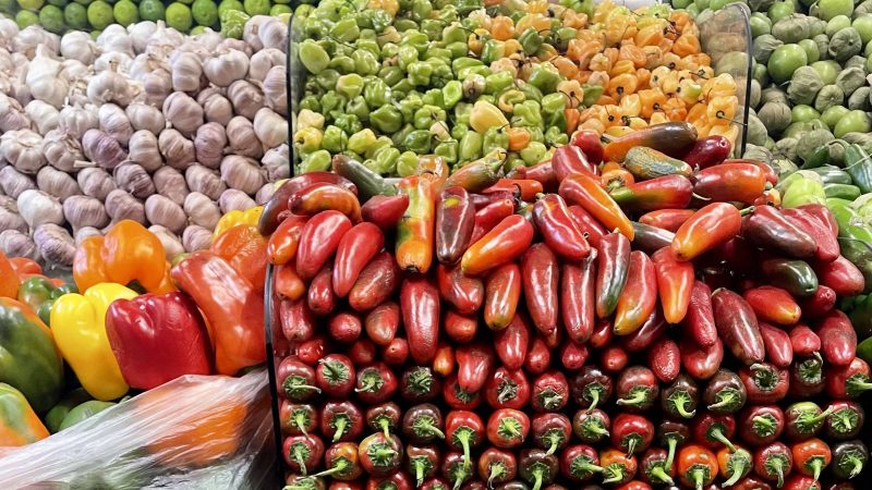 Cozinha Bruta: o esquisitão que vai ao mercado por lazer – 14/08/2025 – Cozinha Bruta