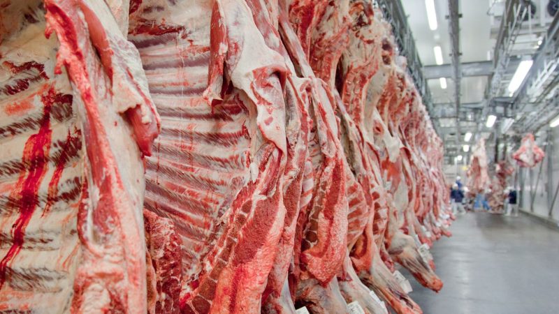 Exportação de carne bovina bate recorde em mês anterior ao tarifaço