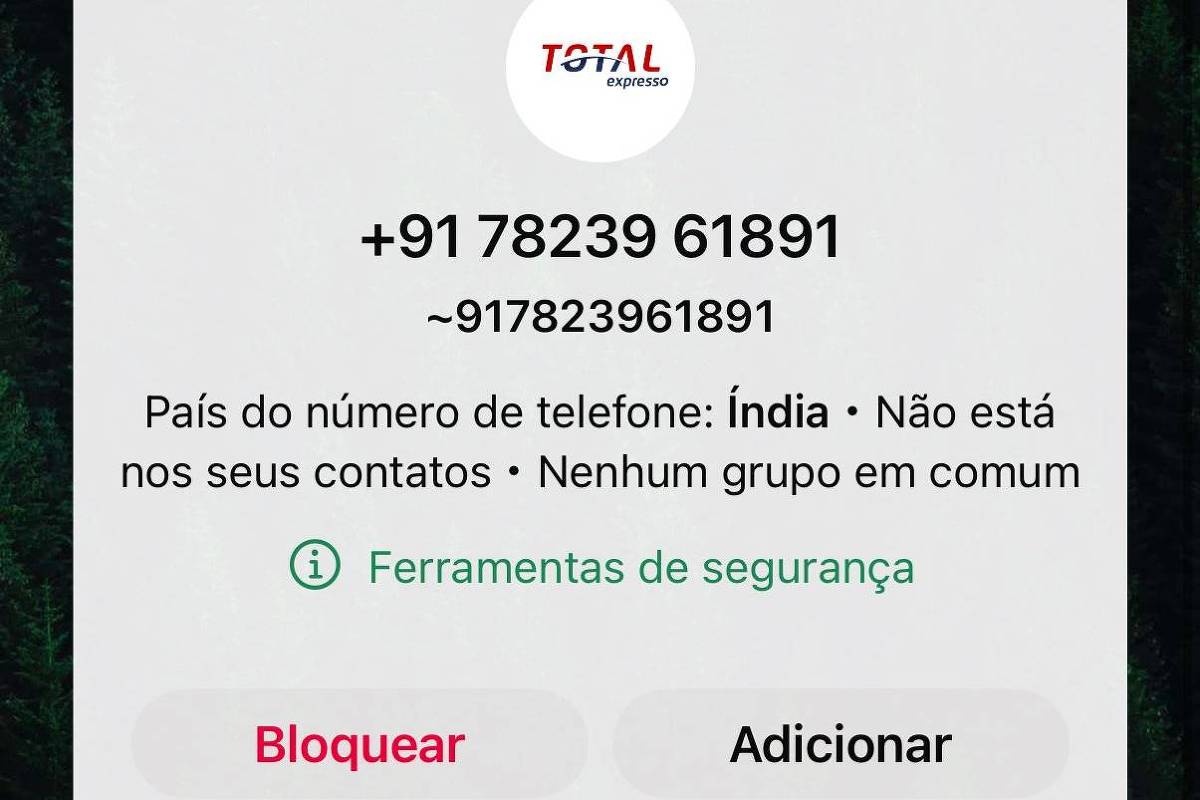 WhatsApp: Meta bloqueia milhões de contas por golpe – 06/08/2025 – Tec