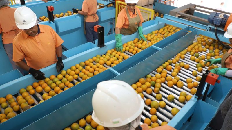 Exportação de produtos atingidos por tarifaço cai 22% em agosto