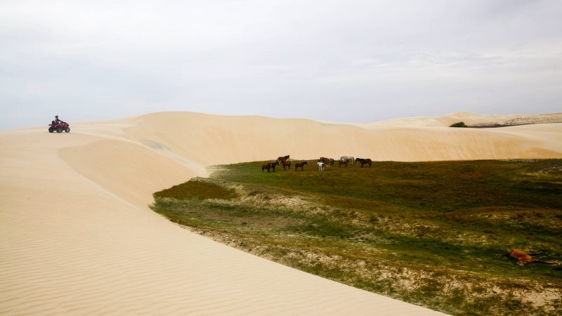 Parnaíba: o que conhecer nos Lençóis do Piauí – 17/09/2025 – Turismo