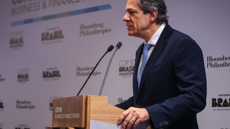 Haddad diz esperar US$ 10 bi para fundo de proteção às florestas